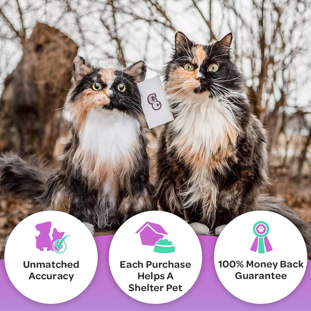 Custom Cat Plush Cuddle Clone - Image 3