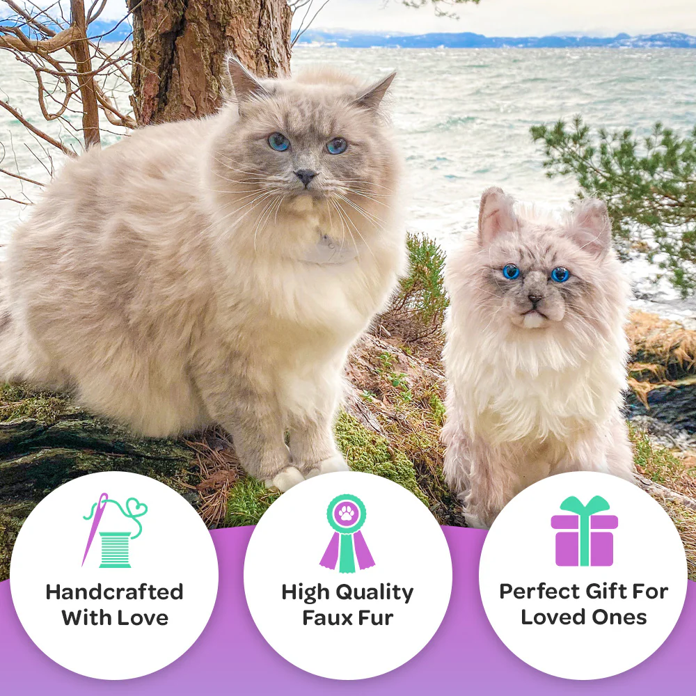 Custom Cat Plush Cuddle Clone - Image 4