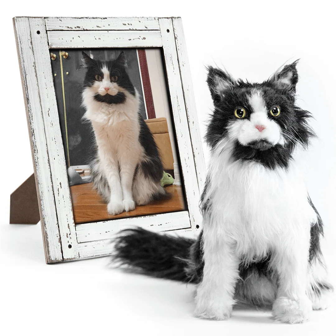 Custom Cat Plush Cuddle Clone - Image 6