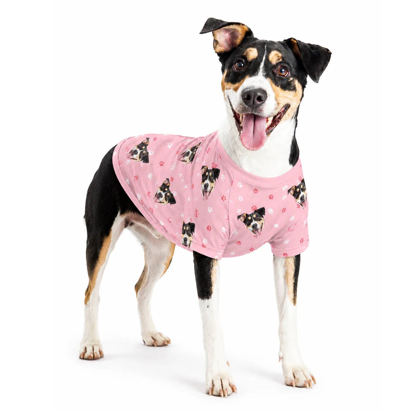 Custom Dog Pajamas - Image 14
