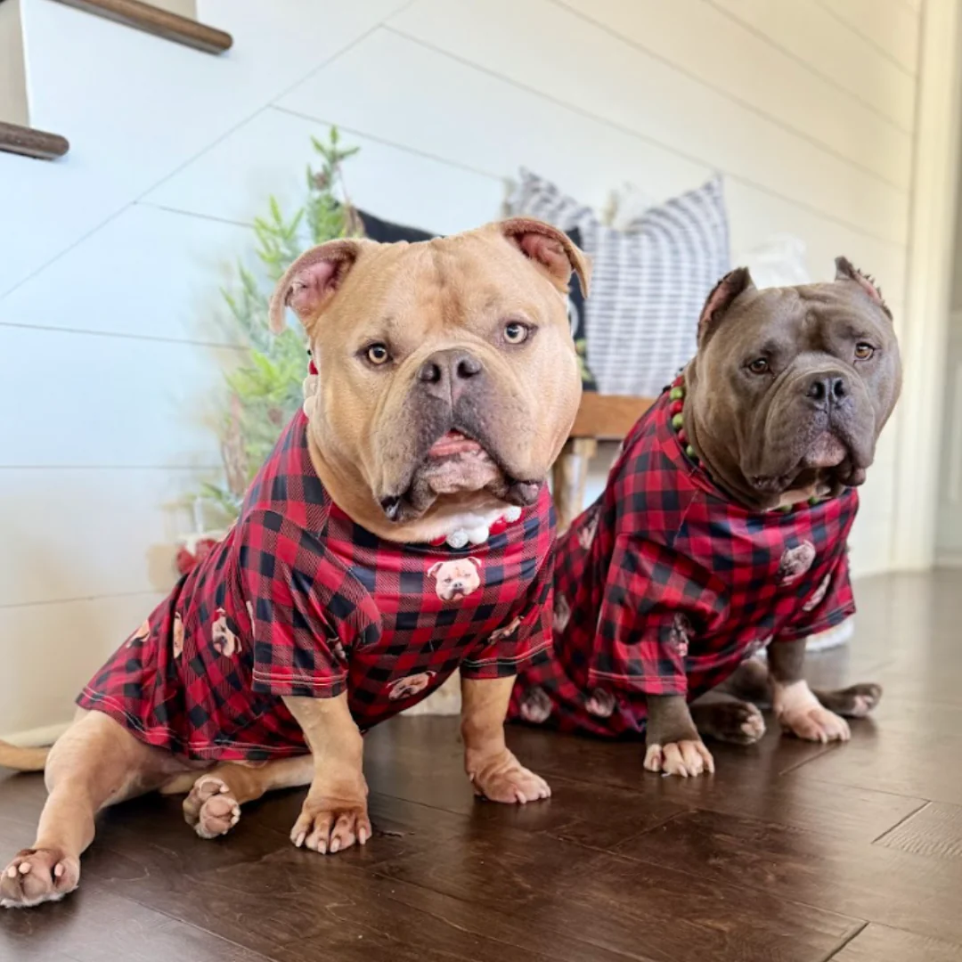 Custom Dog Pajamas - Image 23
