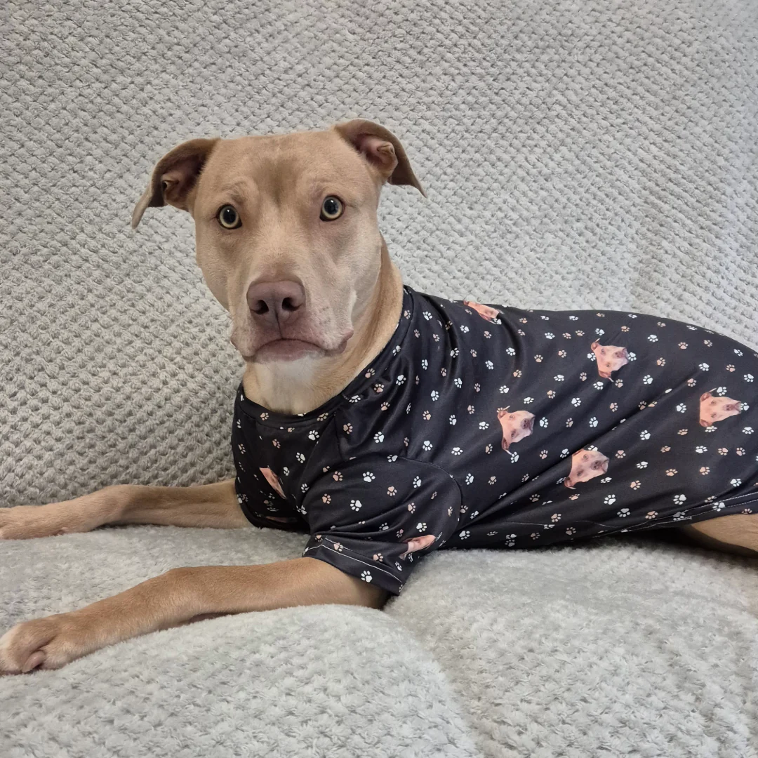 Custom Dog Pajamas - Image 24