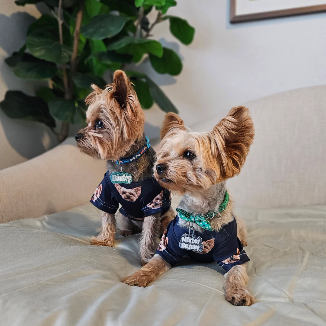 Custom Dog Pajamas - Image 25