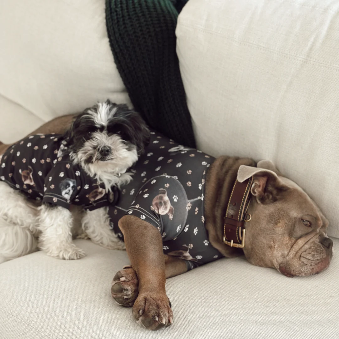 Custom Dog Pajamas - Image 26