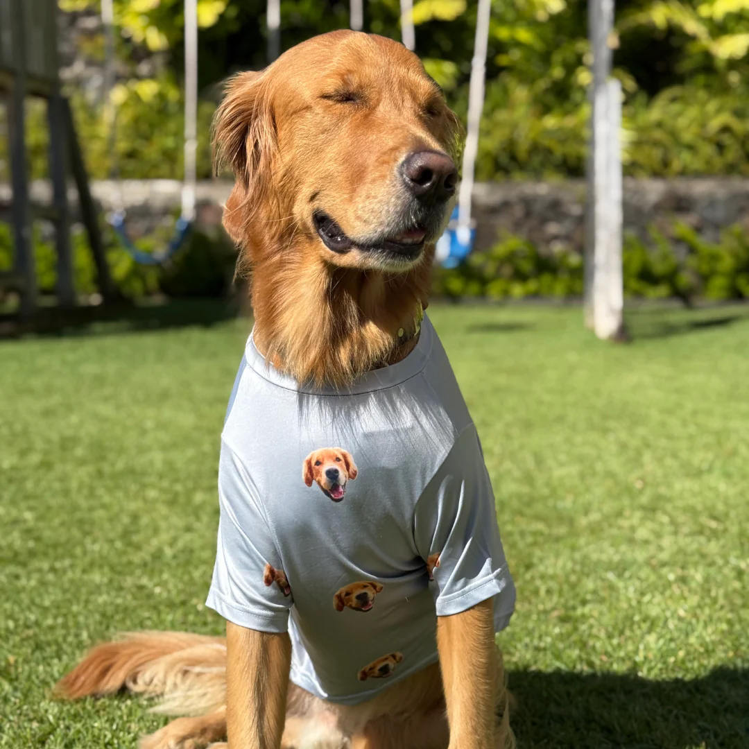 Custom Dog Pajamas - Image 28