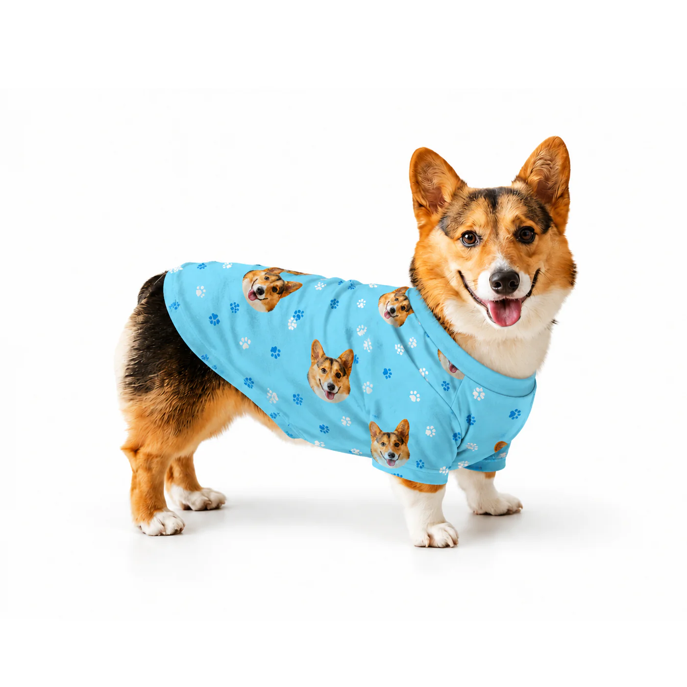 Custom Dog Pajamas - Image 9
