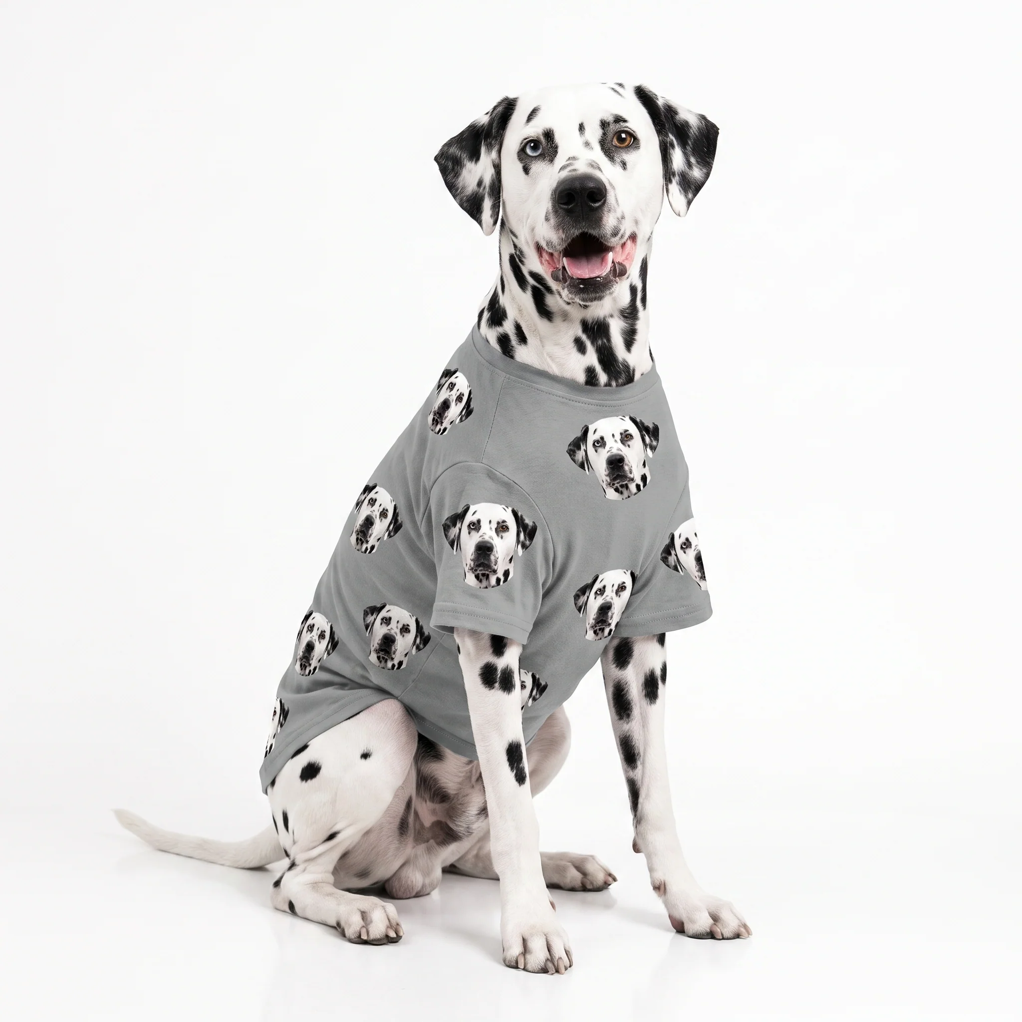 Custom Dog Pajamas - Image 13