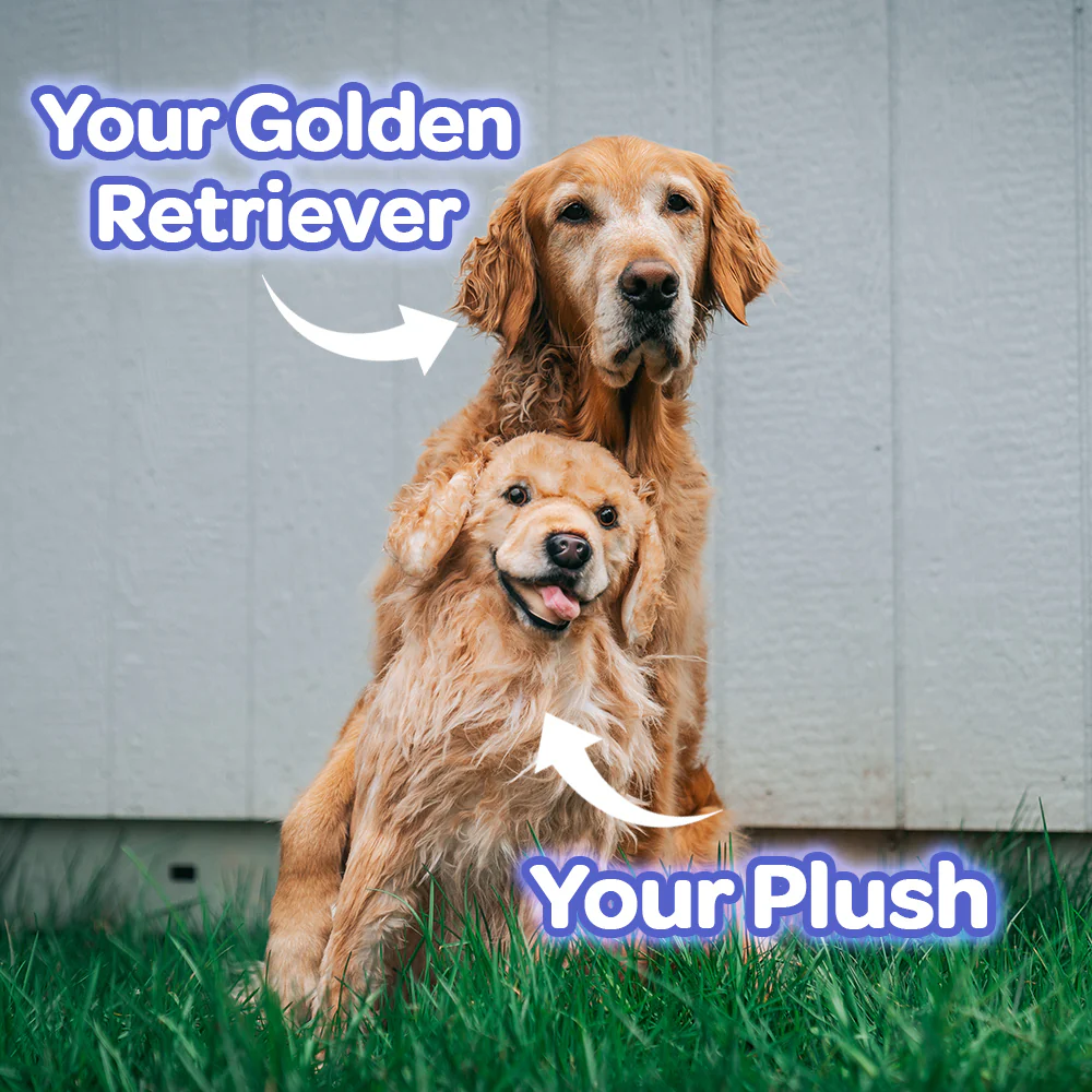 Custom Golden Retriever Plush Cuddle Clone - Image 5