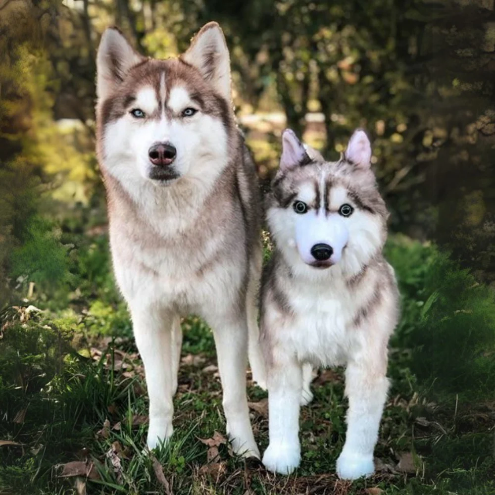 Custom Husky Plush Cuddle Clone - Image 10
