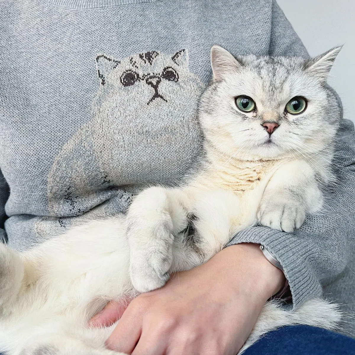 Custom Knit Pet Sweater - Image 17