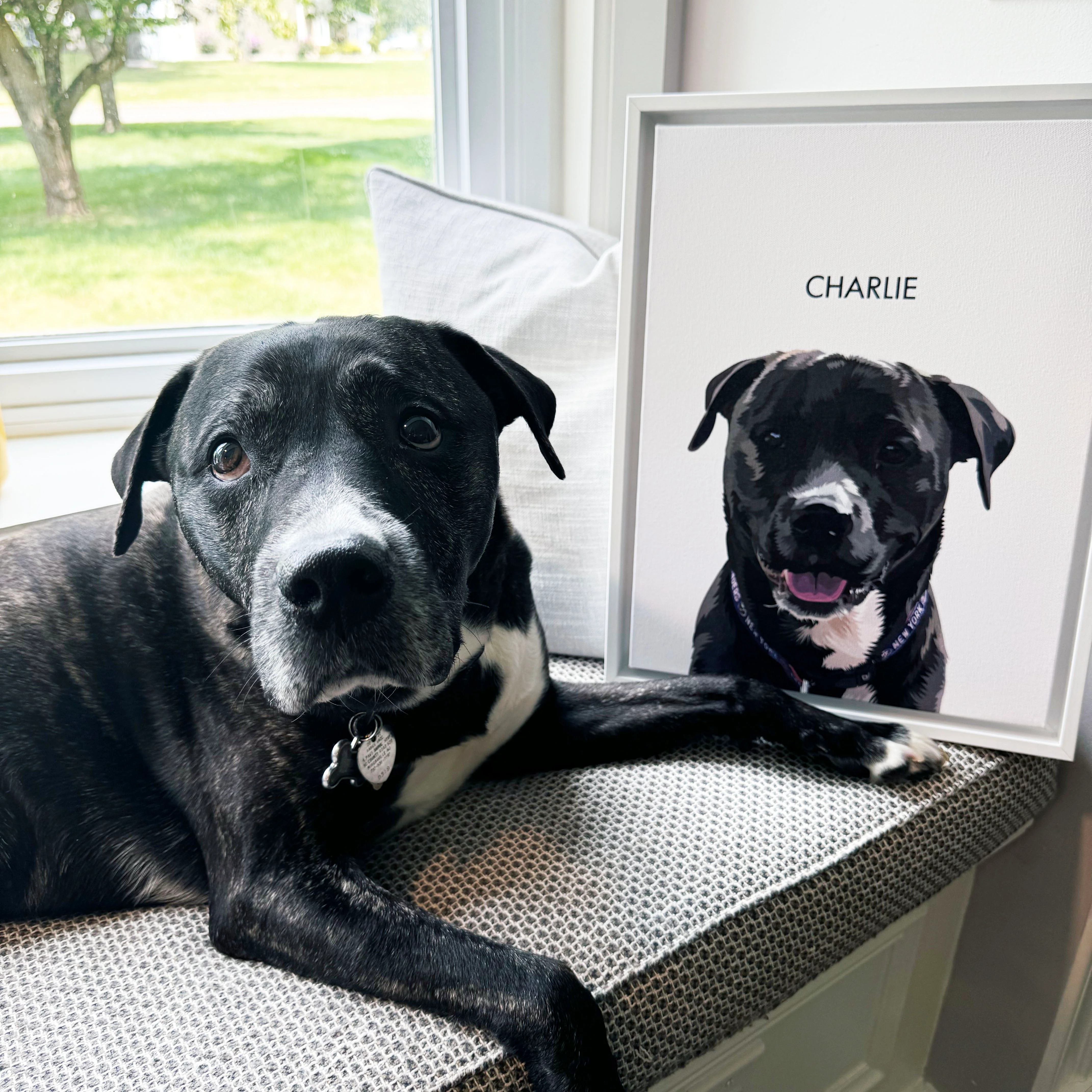 Custom Portrait for One Pet - Image 8