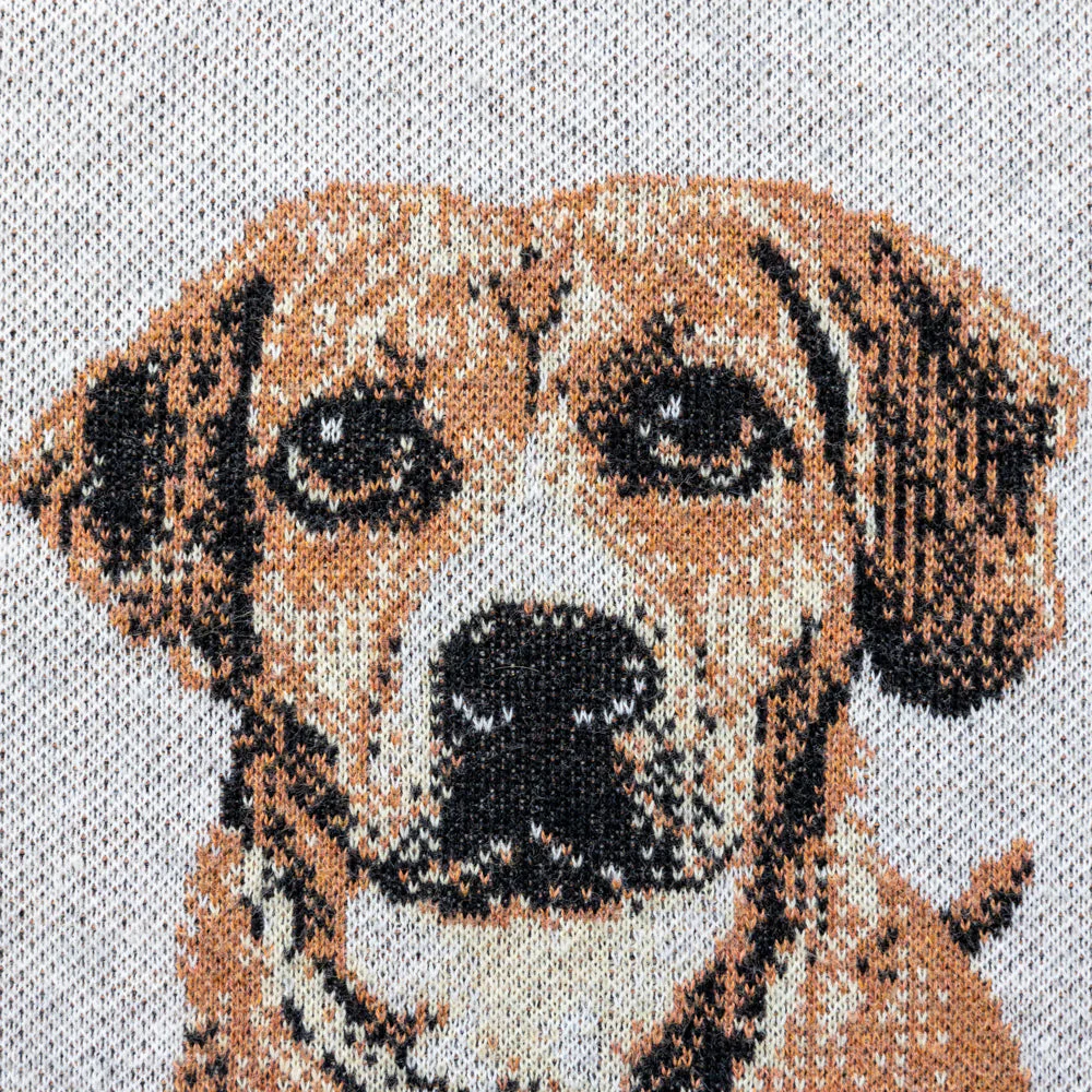 Customized Knit Pet Sweater - Image 3