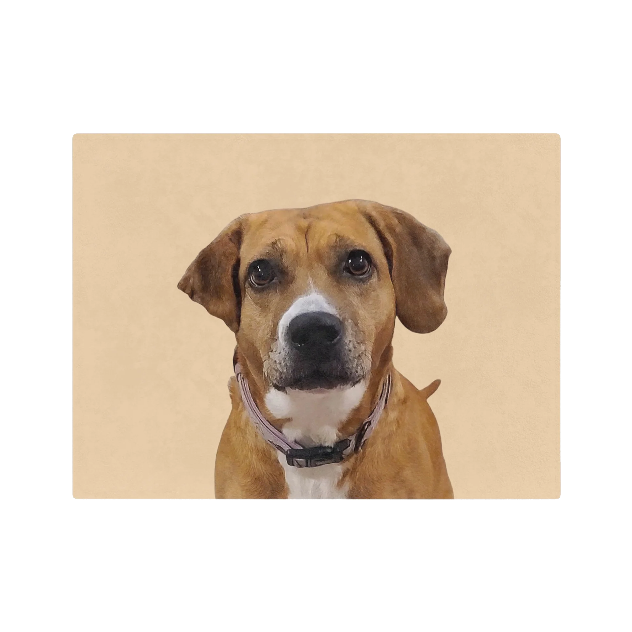 Custom Pet Art Blanket - Image 28