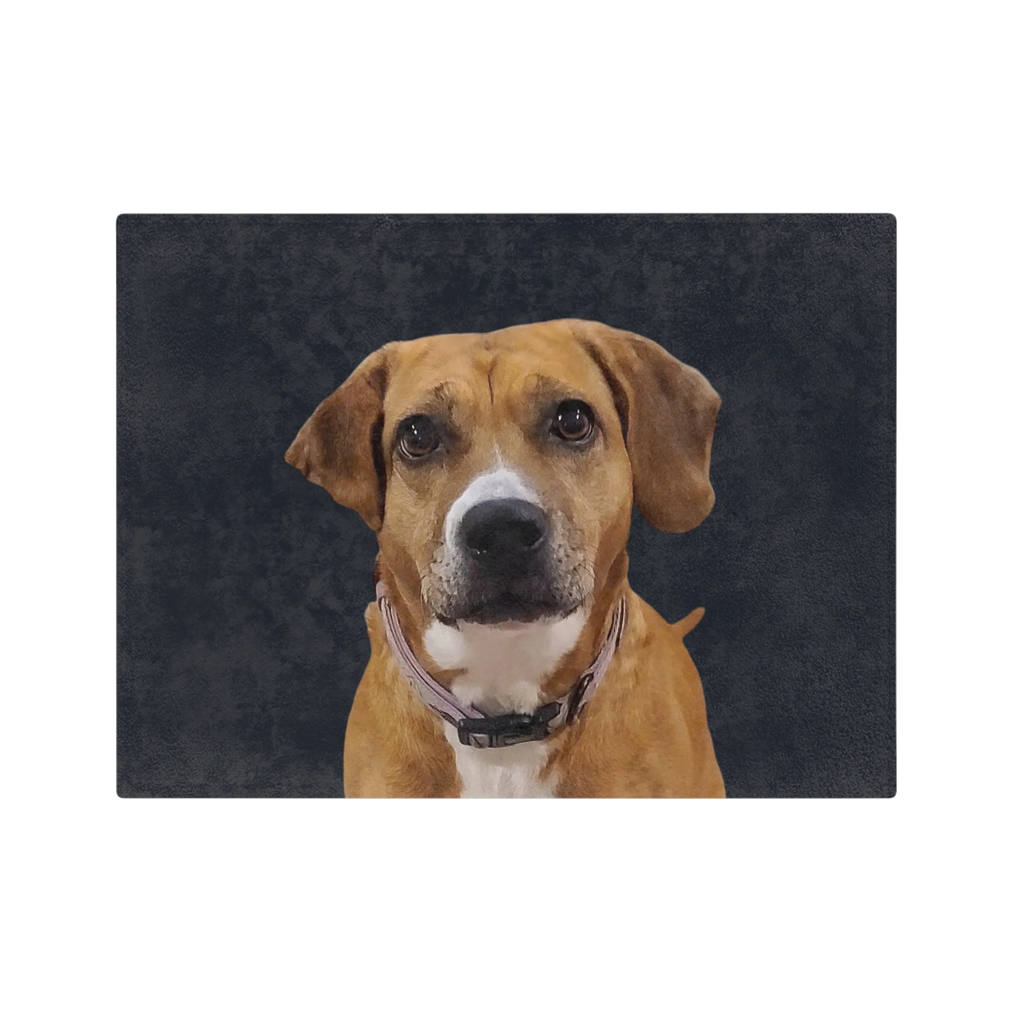 Custom Pet Art Blanket - Image 27