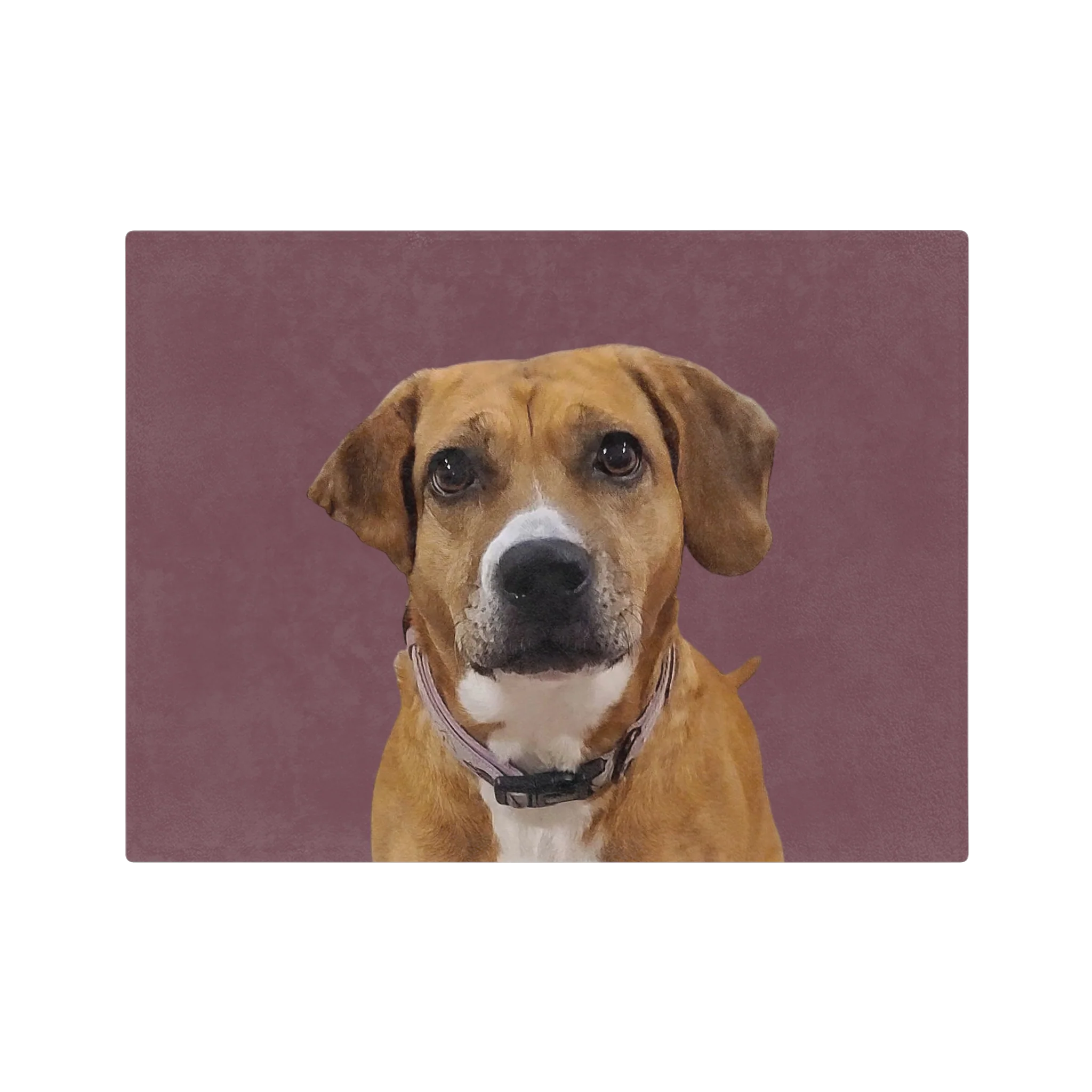 Custom Pet Art Blanket - Image 29