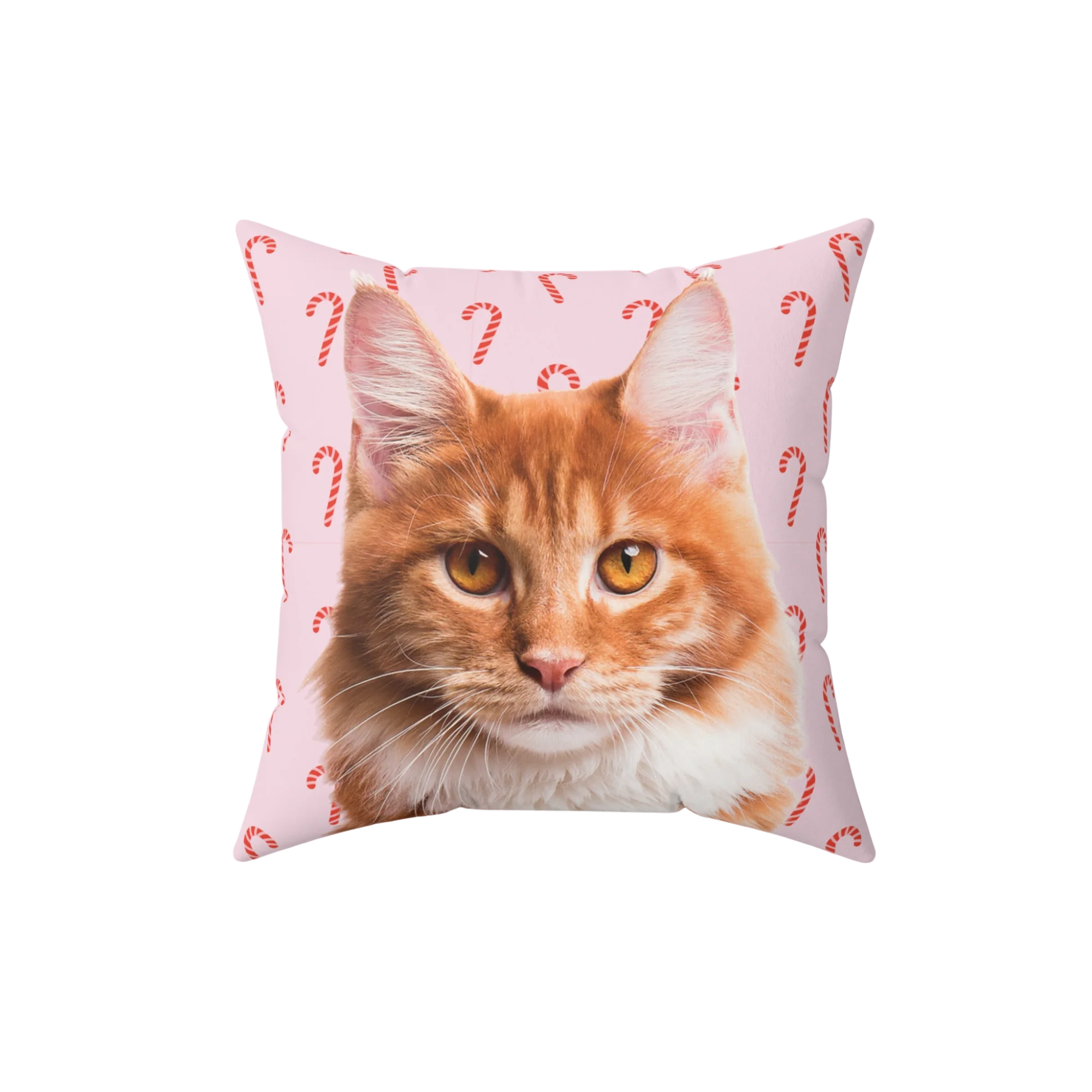 Customized Pet Art Pillow - Image 22