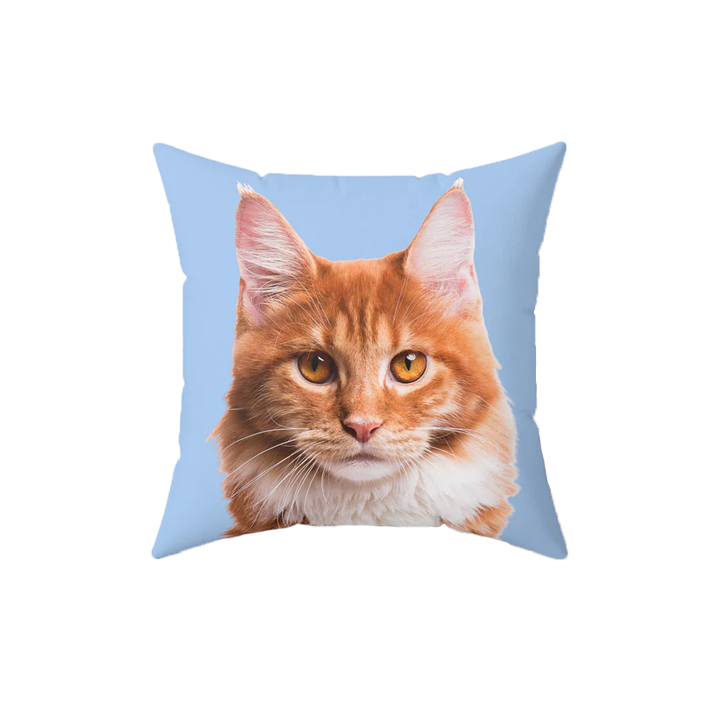Customized Pet Art Pillow - Image 4