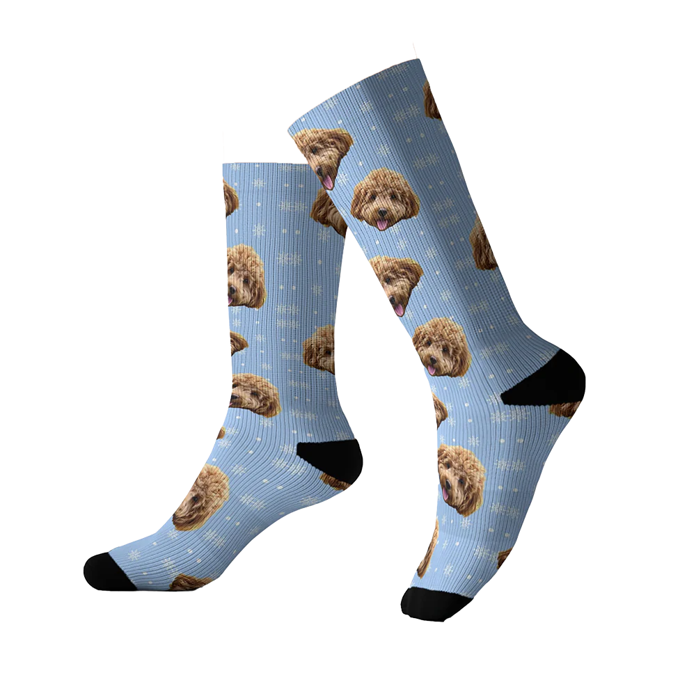 Customized Pet Socks - 1 Pet - Image 12