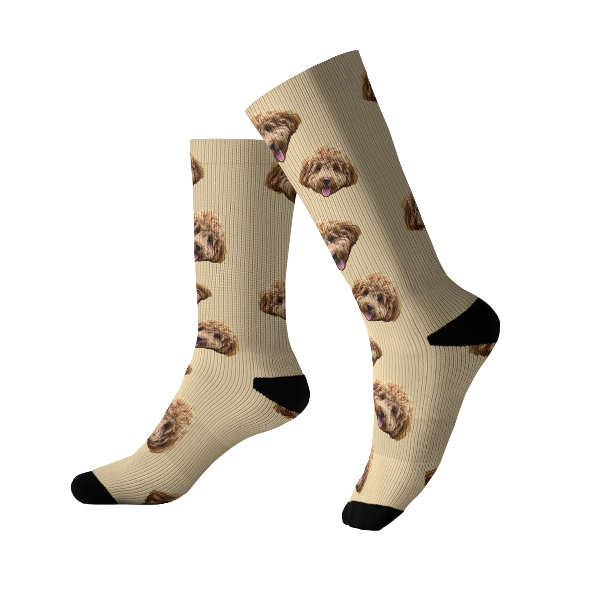 Customized Pet Socks - 1 Pet - Image 13