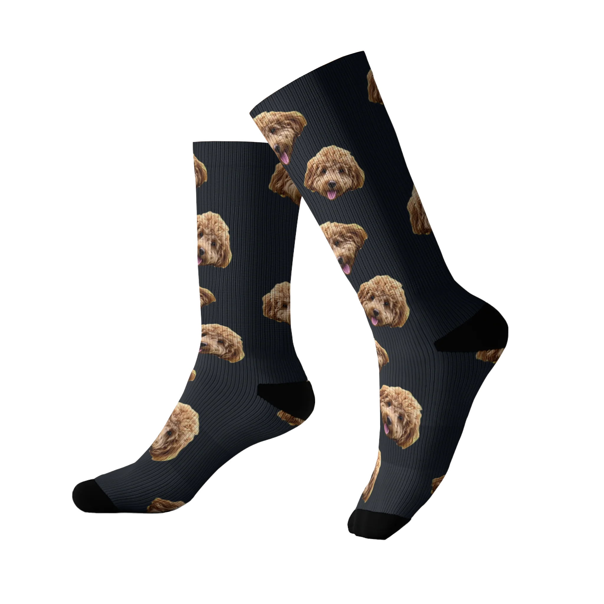 Customized Pet Socks - 1 Pet - Image 14