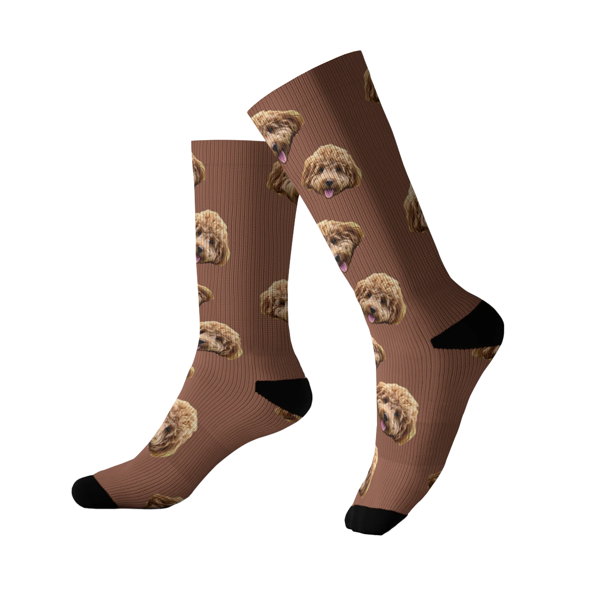 Customized Pet Socks - 1 Pet - Image 15