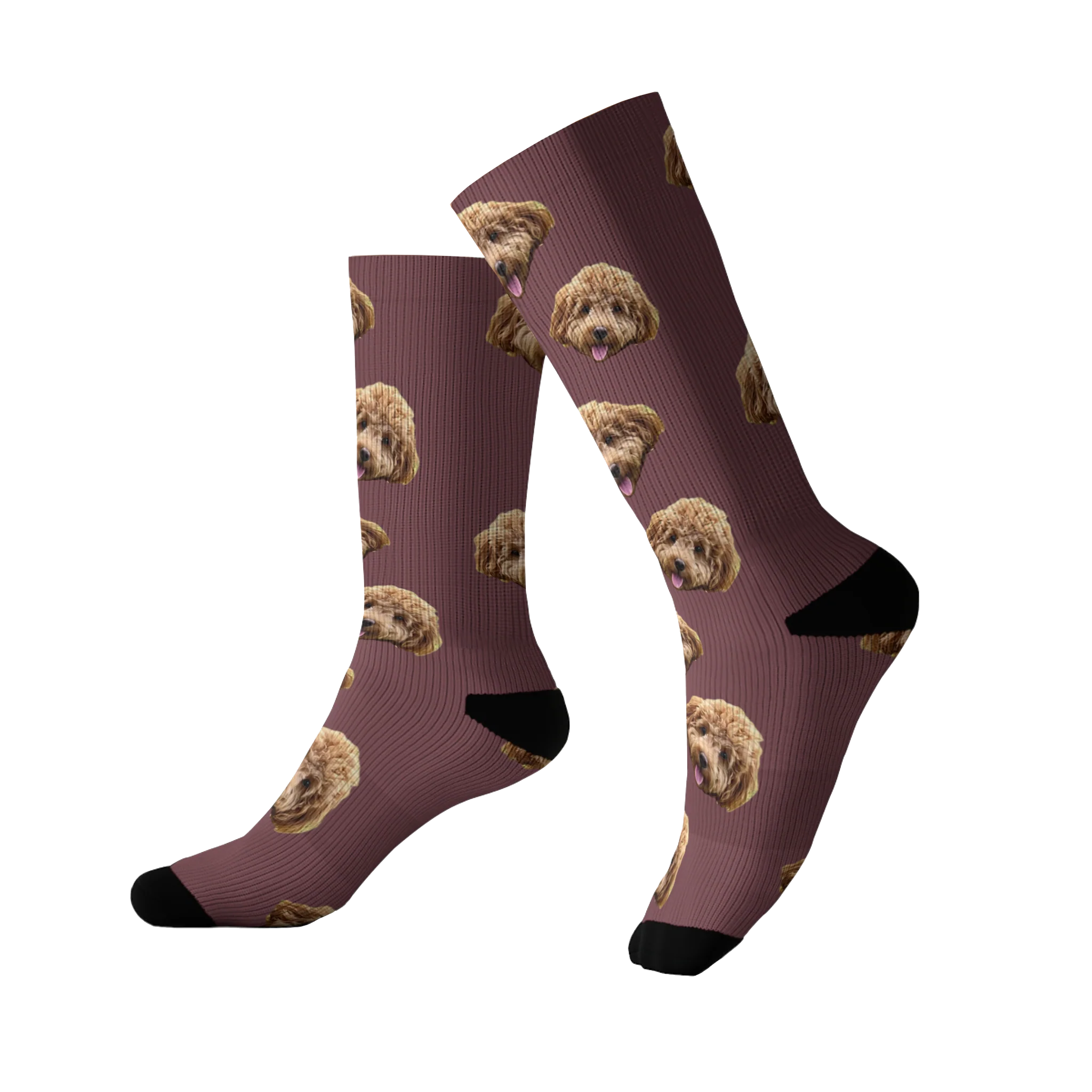 Customized Pet Socks - 1 Pet - Image 16